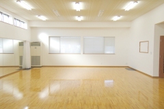 dojo1