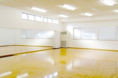 dojo2